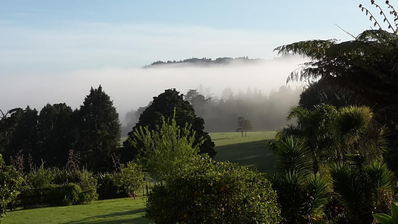 Vinegar Hill Bed and Breakfast Kauri Buitenkant foto